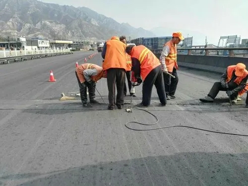 重庆道路桥梁病害治理